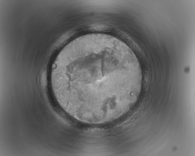 X0000116830734201001081437