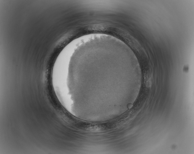 X0000116830735201001081437