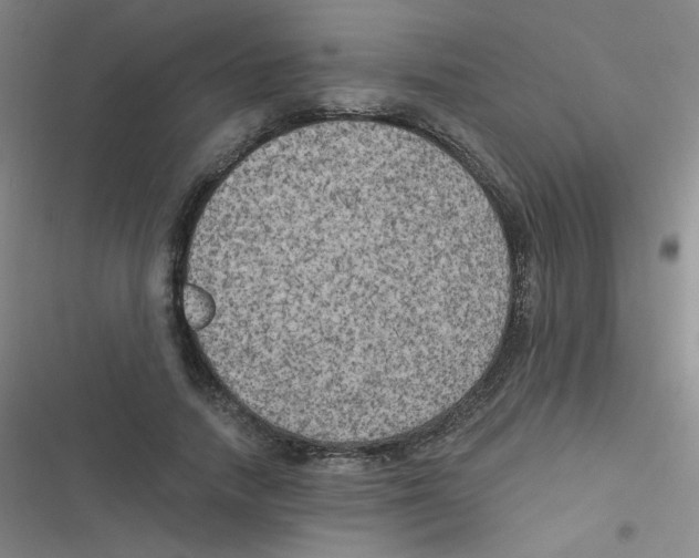 X0000116830738201001081437