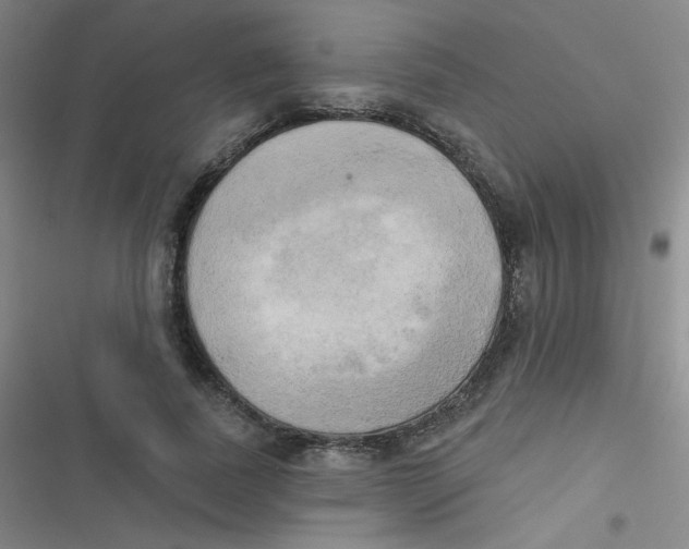 X0000116830739201001081437