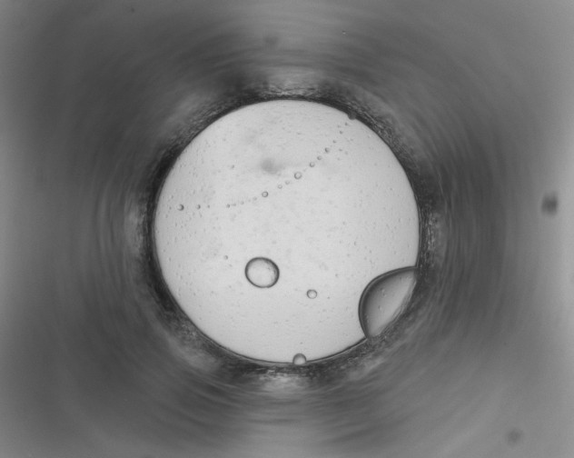 X0000116830741201001081437