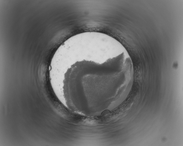 X0000116830742201001081437