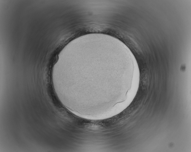 X0000116830743201001081437