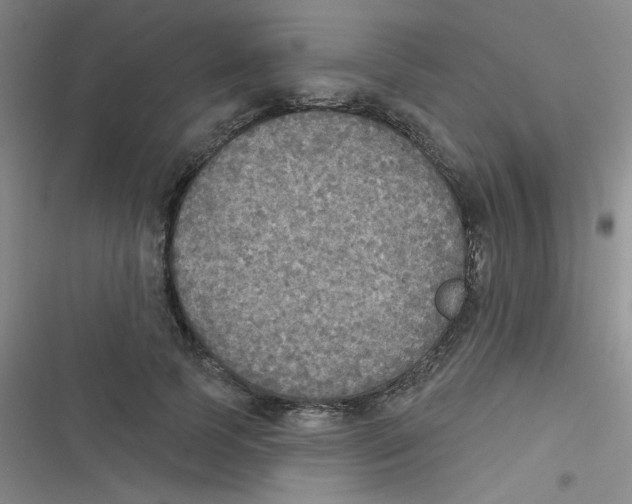 X0000116830745201001081437