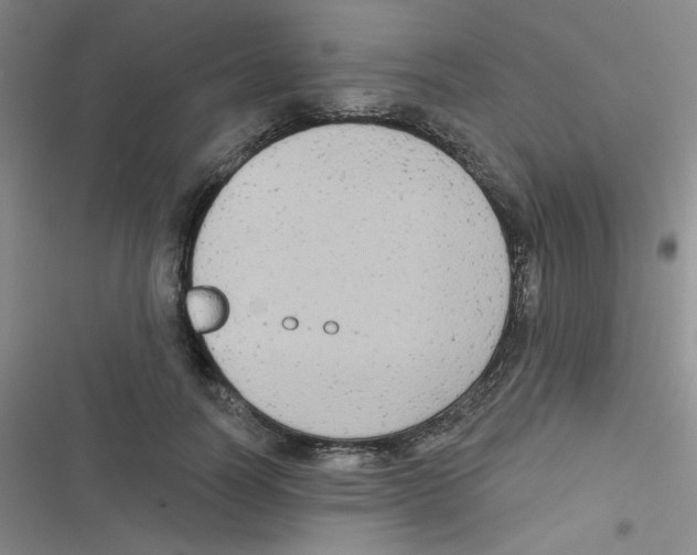 X0000116830746201001081437