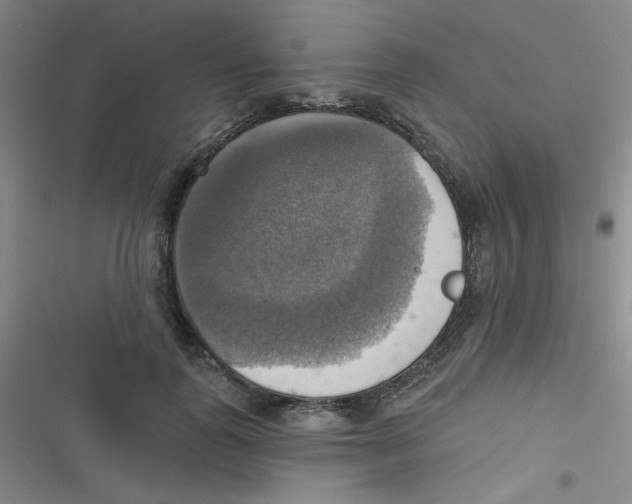 X0000116830747201001081437