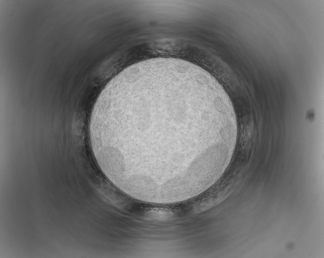 X0000116830749201001081437