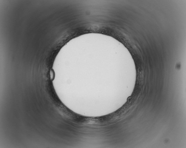 X0000116830750201001081437