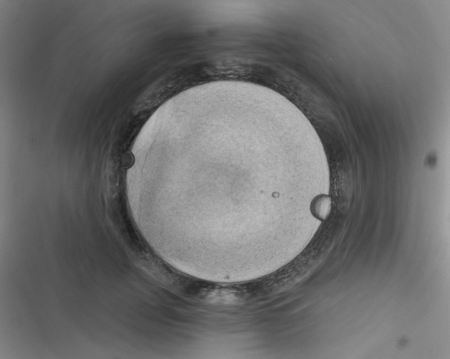 X0000116830751201001081437