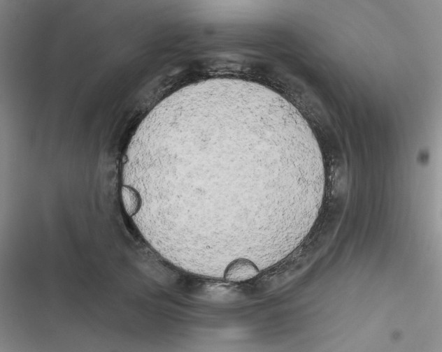 X0000116830753201001081437