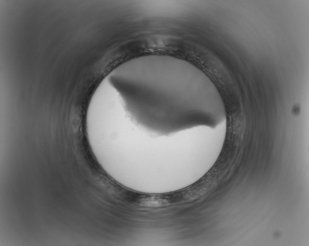 X0000116830754201001081437