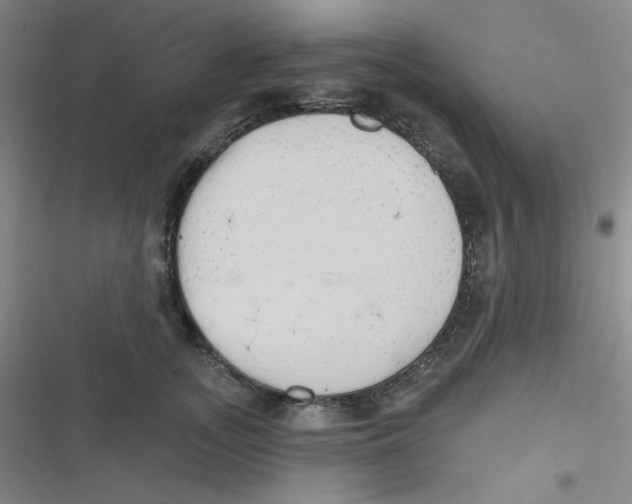 X0000116830755201001081437