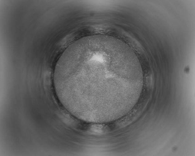 X0000116830757201001081437