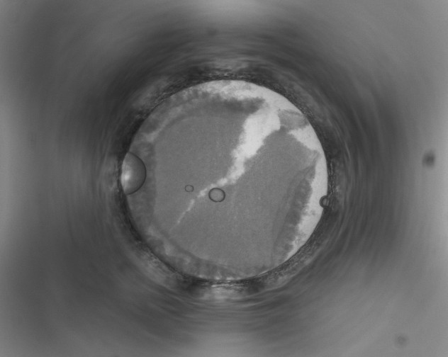 X0000116830758201001081437