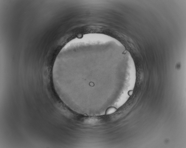 X0000116830759201001081437