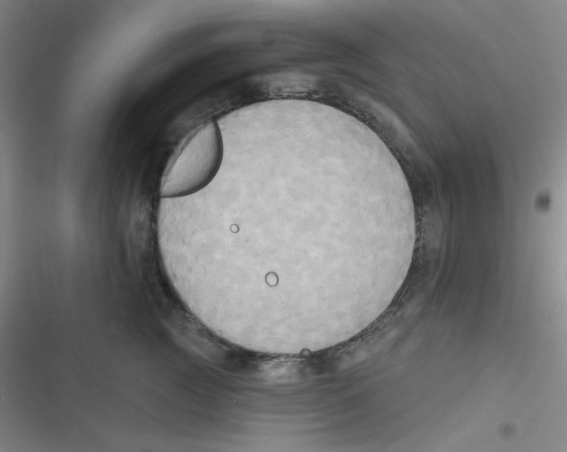 X0000116830761201001081437