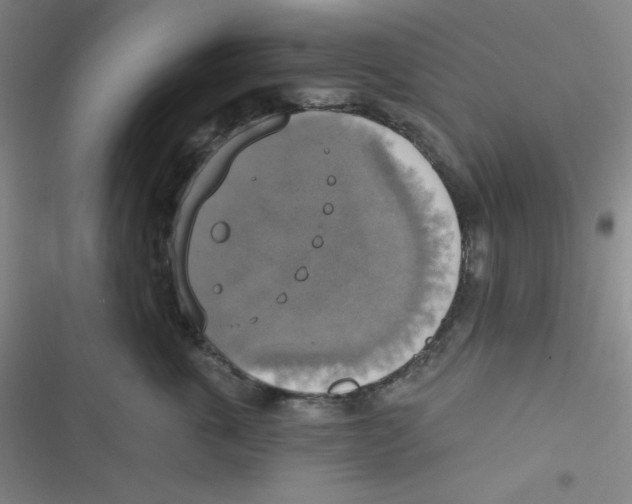 X0000116830763201001081437