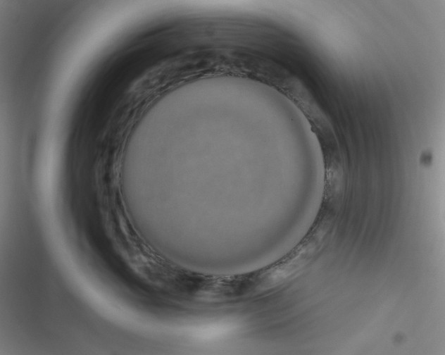 X0000116830765201001081437