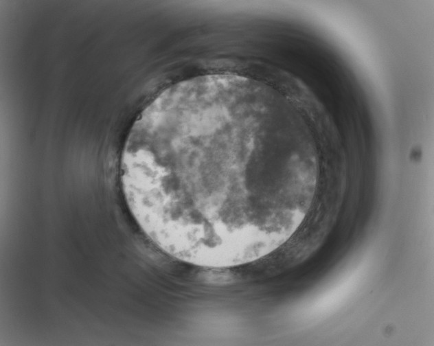 X0000116830767201001081437