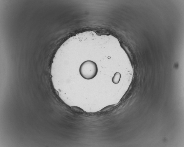 X0000116830769201001081437