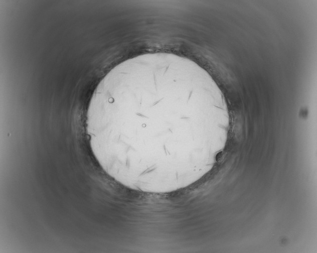 X0000116830770201001081437