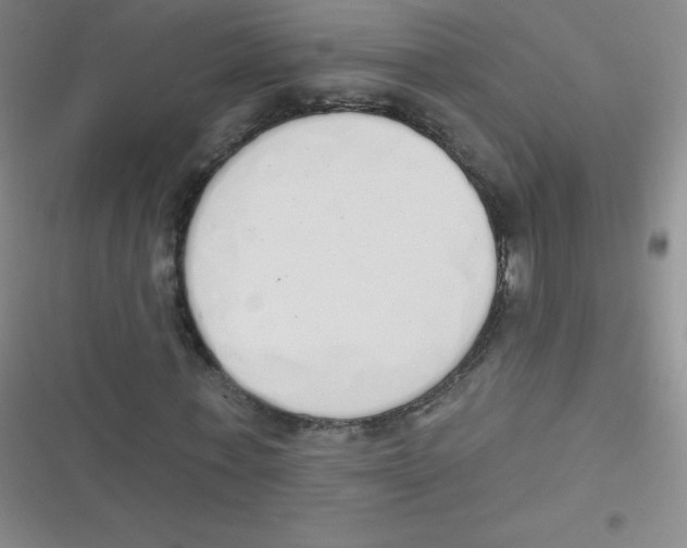 X0000116830771201001081437