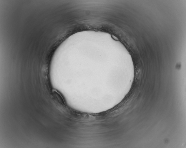 X0000116830772201001081437