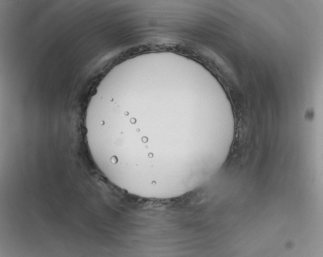 X0000116830773201001081437