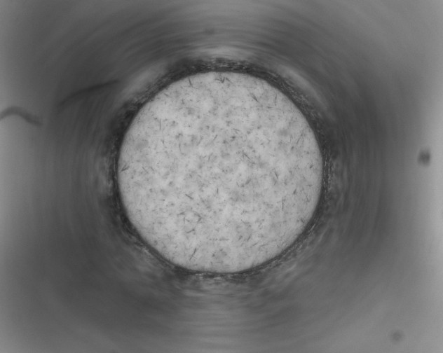 X0000116830774201001081437