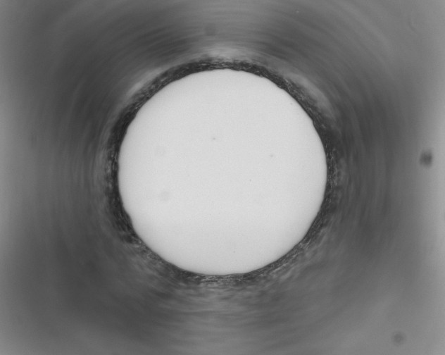 X0000116830776201001081437