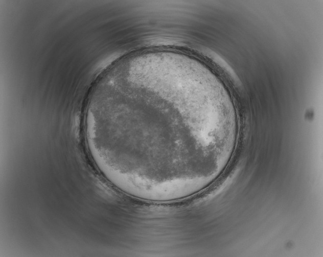 X0000116830777201001081437