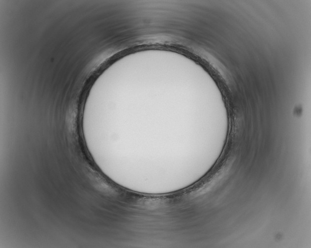 X0000116830778201001081437