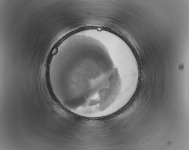 X0000116830779201001081437