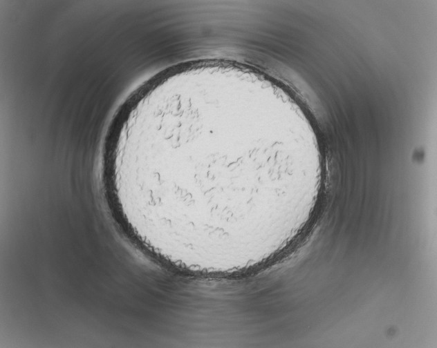 X0000116830780201001081437