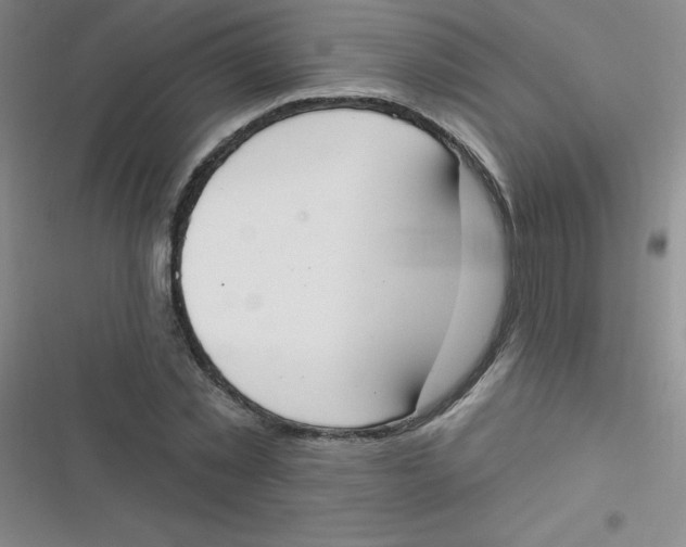 X0000116830781201001081437