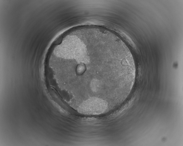 X0000116830784201001081437