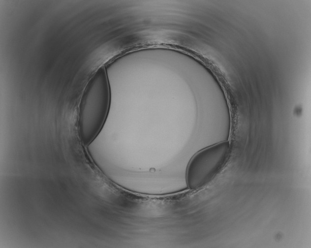 X0000116830785201001081437