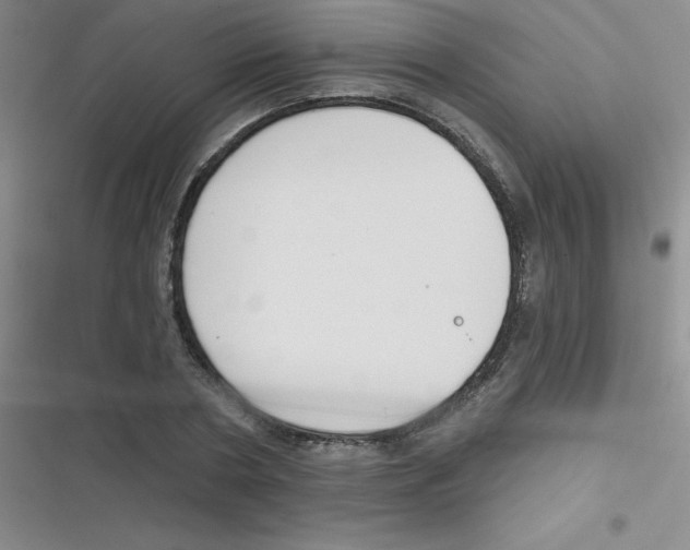 X0000116830786201001081437