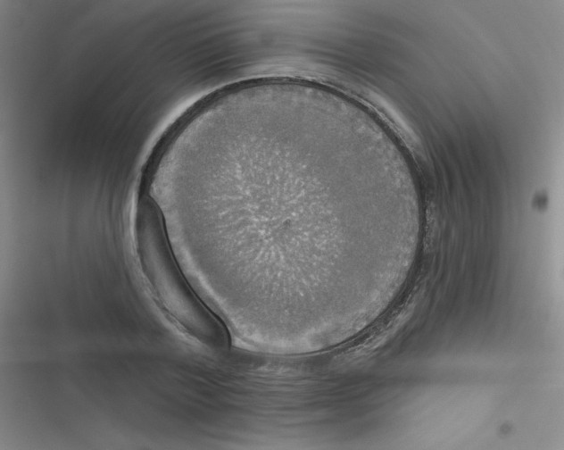 X0000116830788201001081437