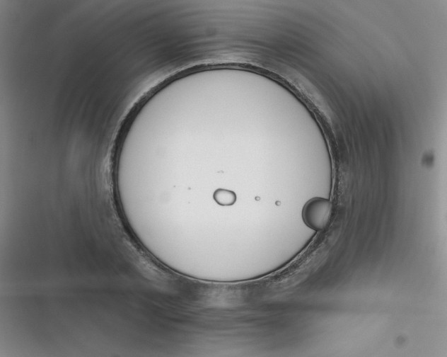 X0000116830789201001081437