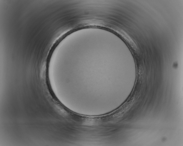 X0000116830790201001081437