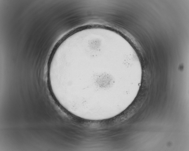 X0000116830791201001081437