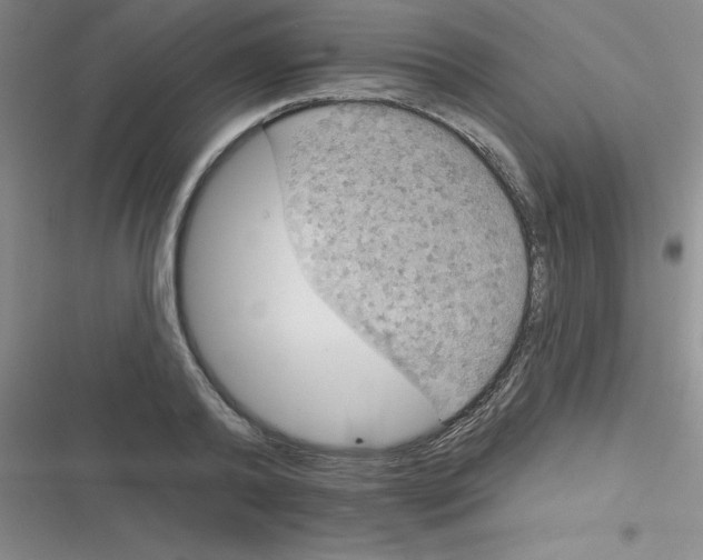 X0000116830792201001081437