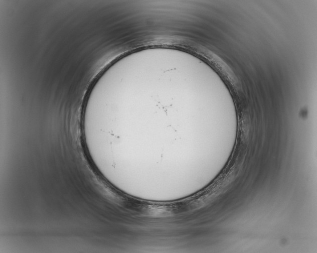 X0000116830794201001081436