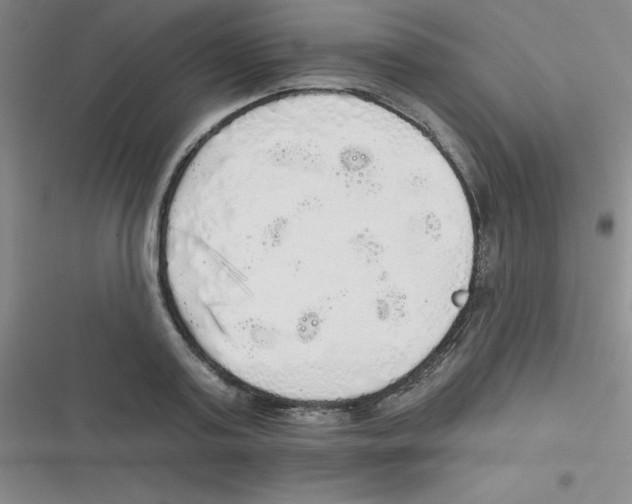 X0000116830795201001081436