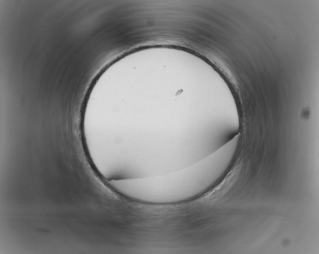 X0000116830797201001081436