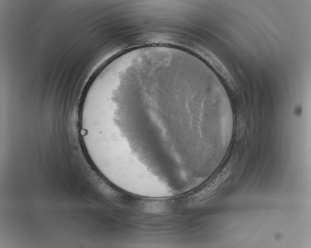 X0000116830798201001081436