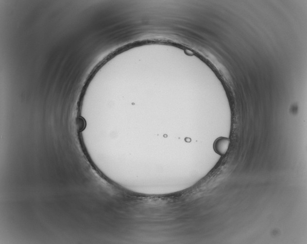 X0000116830799201001081436