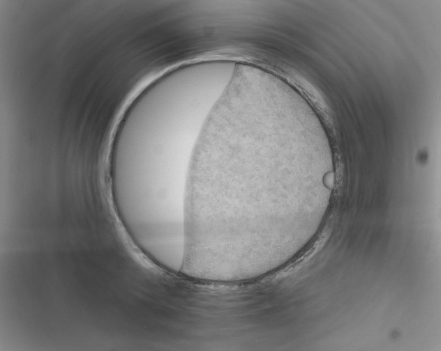 X0000116830800201001081436