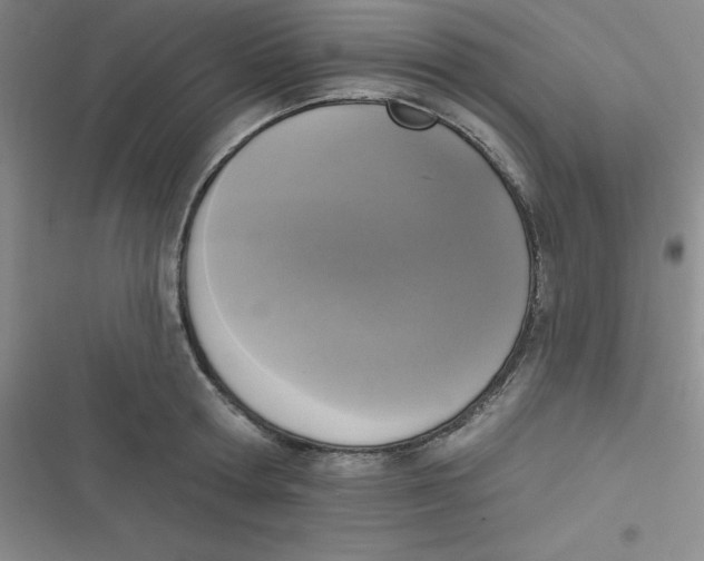 X0000116830802201001081436